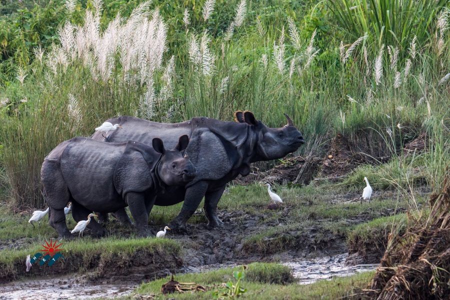 Chitwan National Park